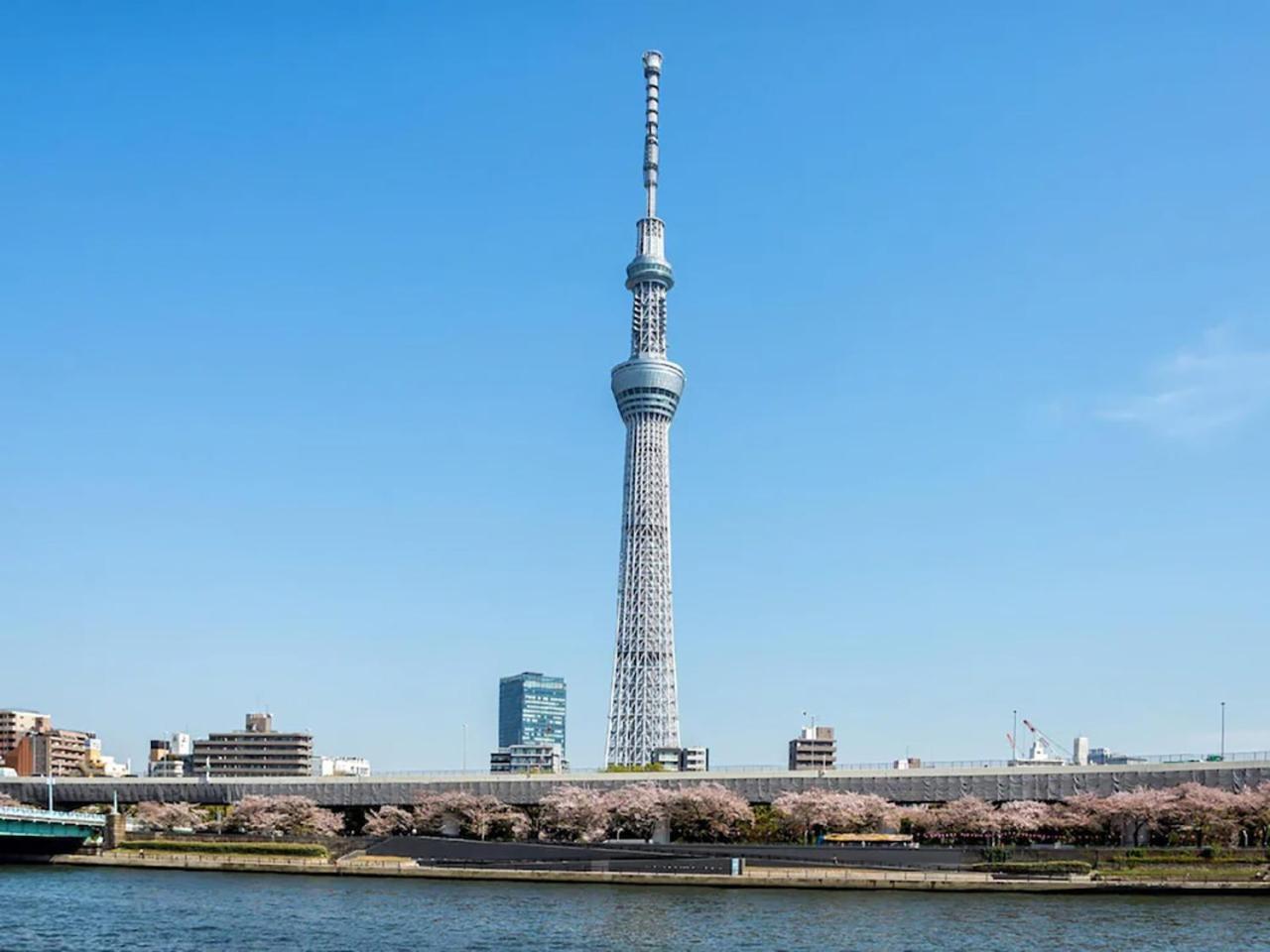 安心御宿新桥胶囊旅馆 東京都 外观 照片